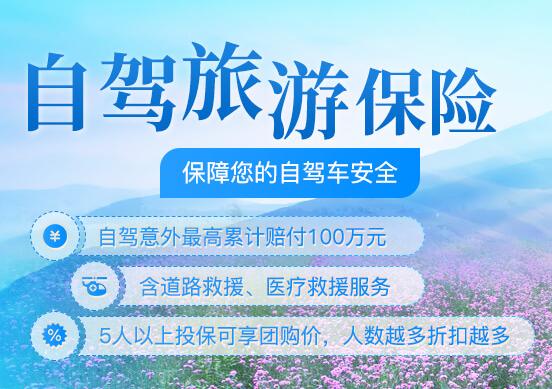 国内旅游保险多不多?平安保险商城:满足不同旅游人士的购险需求